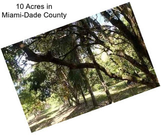 10 Acres in Miami-Dade County