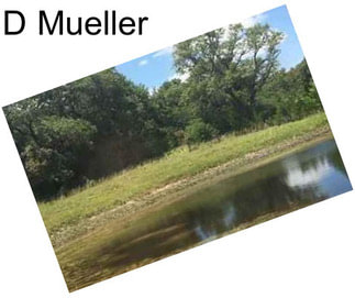 D Mueller