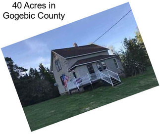 40 Acres in Gogebic County