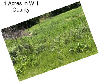 1 Acres in Will County