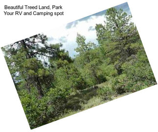 Beautiful Treed Land, Park Your RV and Camping spot