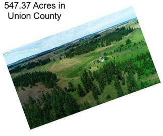 547.37 Acres in Union County