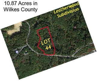 10.87 Acres in Wilkes County