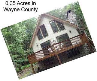 0.35 Acres in Wayne County