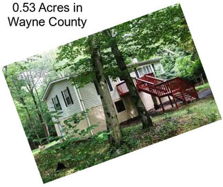 0.53 Acres in Wayne County