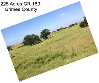 225 Acres CR 189, Grimes County