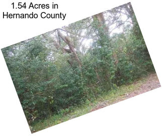 1.54 Acres in Hernando County