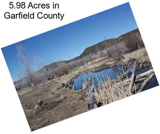 5.98 Acres in Garfield County