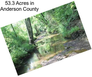 53.3 Acres in Anderson County
