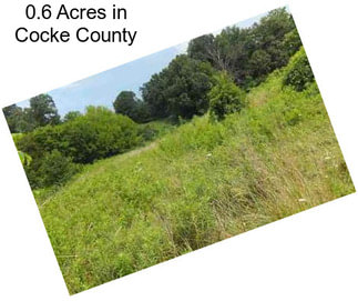 0.6 Acres in Cocke County