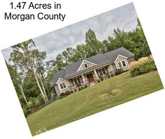 1.47 Acres in Morgan County