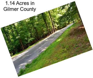 1.14 Acres in Gilmer County