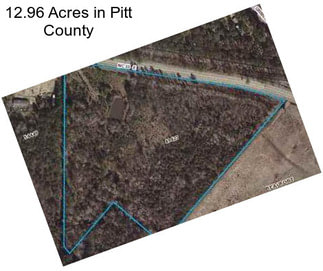 12.96 Acres in Pitt County