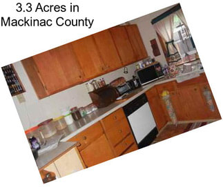 3.3 Acres in Mackinac County