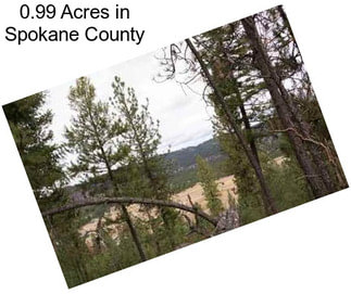 0.99 Acres in Spokane County