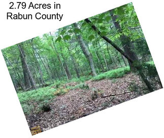 2.79 Acres in Rabun County