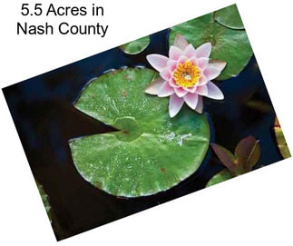 5.5 Acres in Nash County