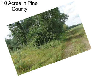 10 Acres in Pine County