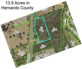 13.9 Acres in Hernando County