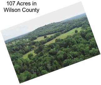 107 Acres in Wilson County