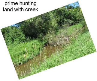 Prime hunting land with creek