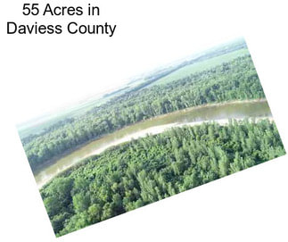 55 Acres in Daviess County