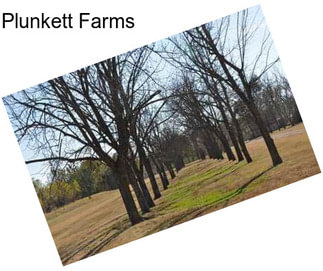 Plunkett Farms