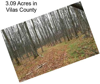 3.09 Acres in Vilas County