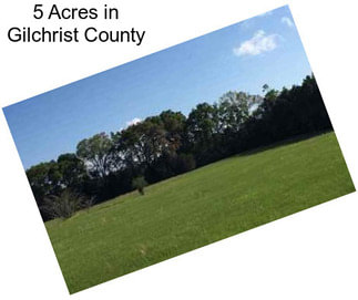 5 Acres in Gilchrist County