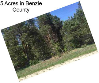 5 Acres in Benzie County