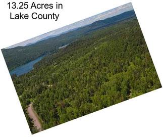 13.25 Acres in Lake County