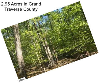 2.95 Acres in Grand Traverse County