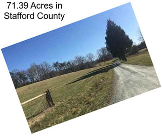 71.39 Acres in Stafford County