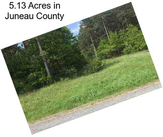 5.13 Acres in Juneau County