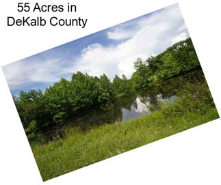 55 Acres in DeKalb County