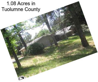 1.08 Acres in Tuolumne County
