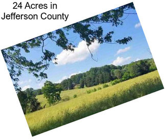 24 Acres in Jefferson County