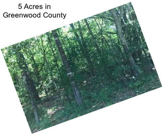 5 Acres in Greenwood County