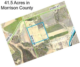 41.5 Acres in Morrison County