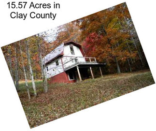 15.57 Acres in Clay County