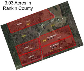 3.03 Acres in Rankin County