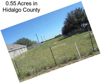 0.55 Acres in Hidalgo County