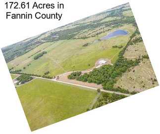 172.61 Acres in Fannin County