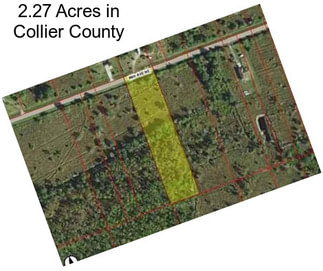 2.27 Acres in Collier County