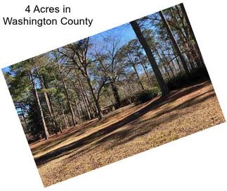 4 Acres in Washington County