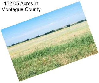 152.05 Acres in Montague County