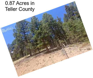 0.87 Acres in Teller County