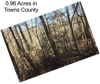 0.96 Acres in Towns County