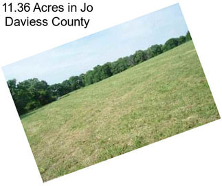 11.36 Acres in Jo Daviess County