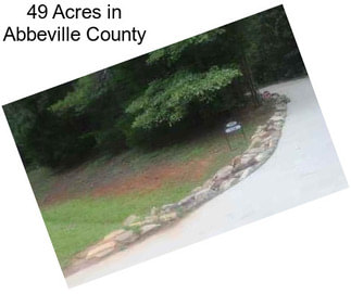 49 Acres in Abbeville County